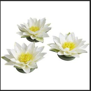 Pier 1 Floating Water Lilies (3 Flowers) NWTS
